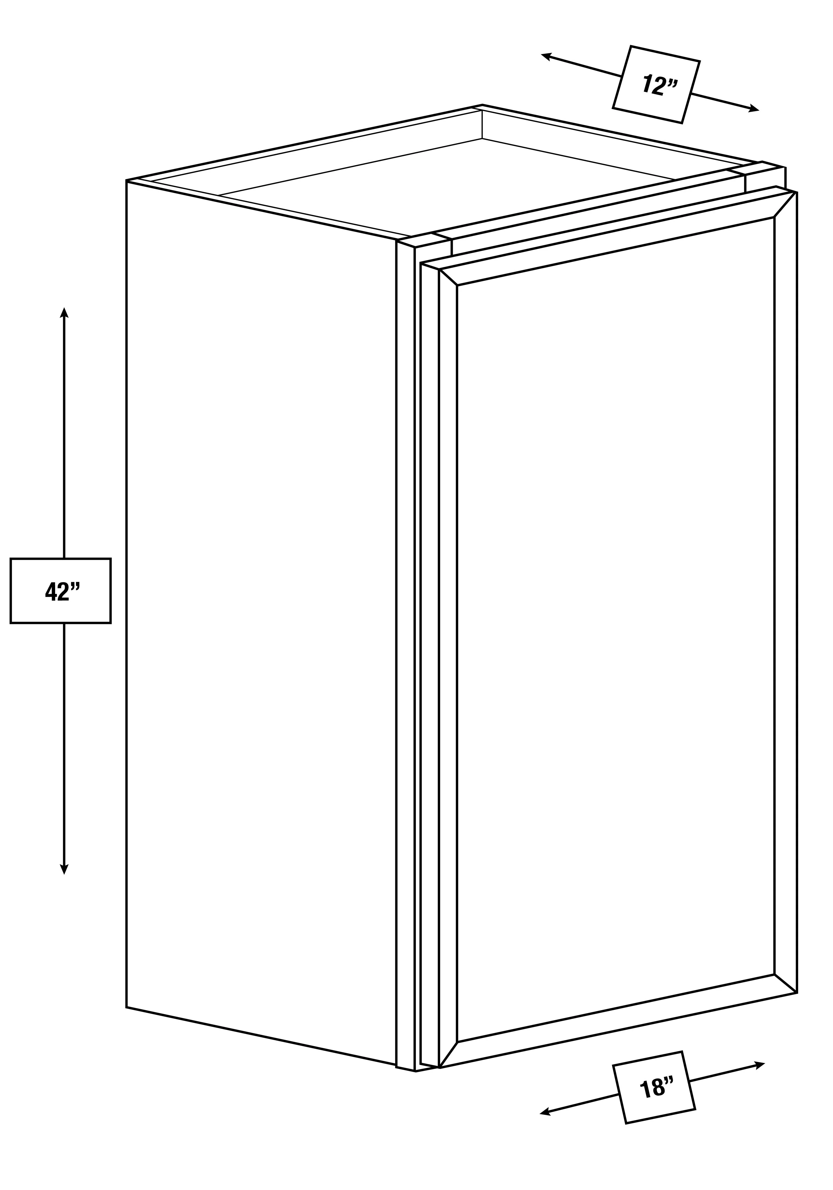 Broadway Black Slim Shaker 21 in. x 42 in. Wall Cabinet